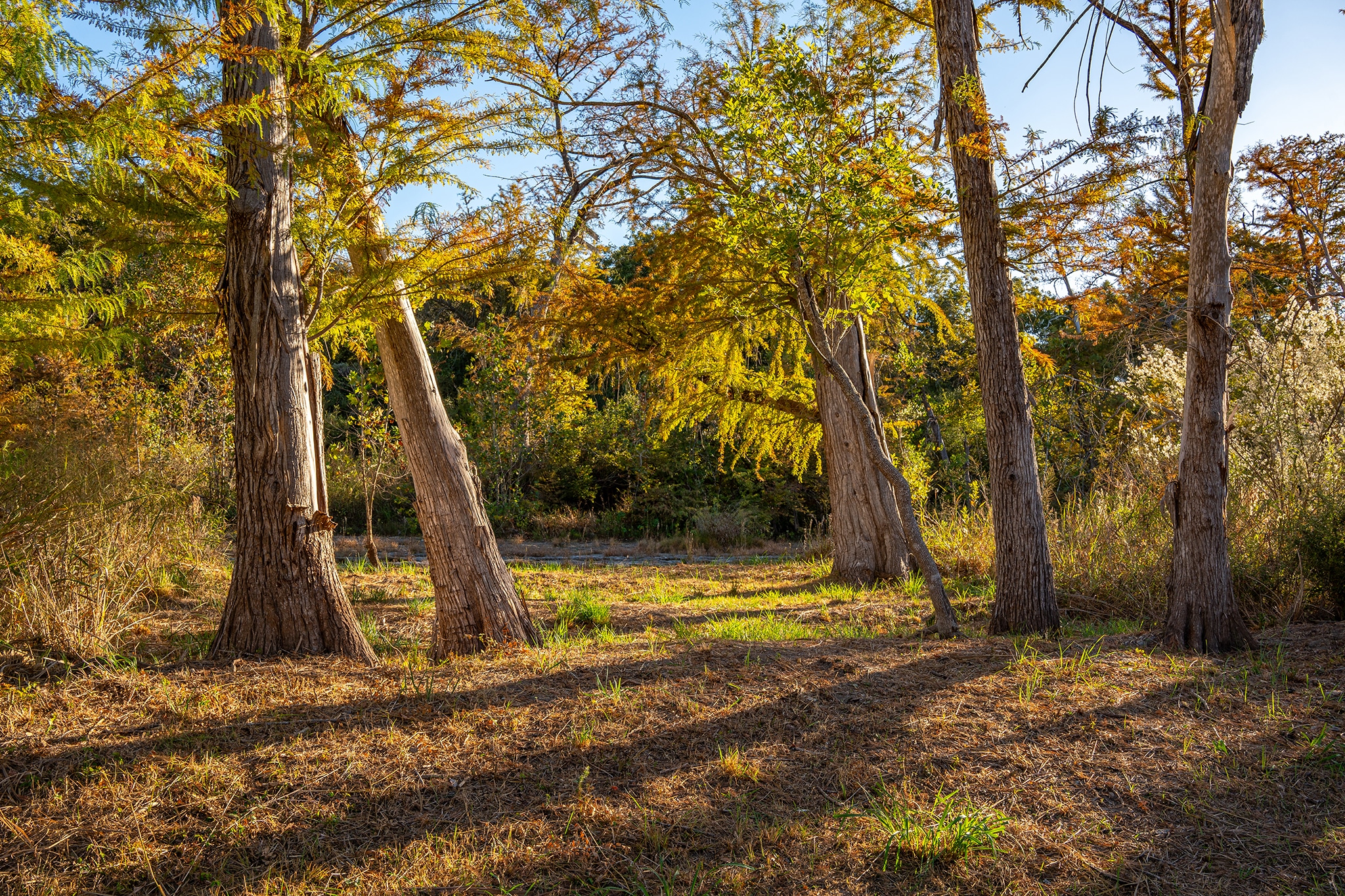 The Main House at Luna Rio 63 6807c339d46db10a6dc9416d