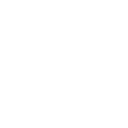 The Little Jenny 4 flower