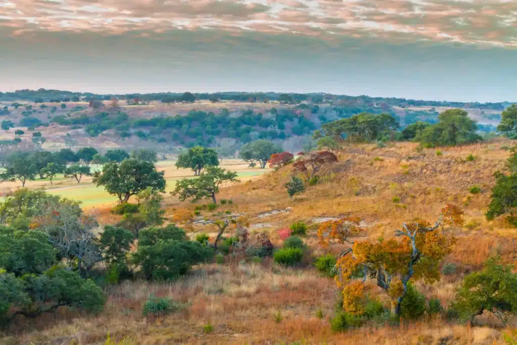 Cowboy Surf Lodge 52 tmpztpf4enq 1